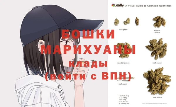 шишки Балахна