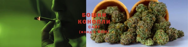 шишки Балахна