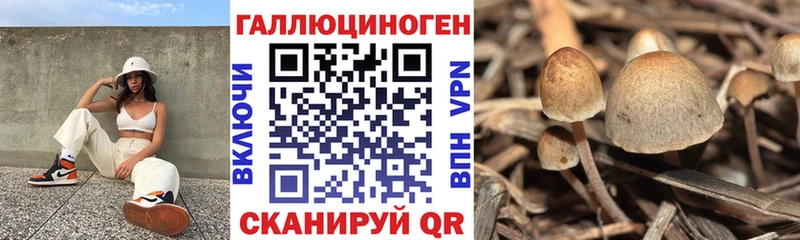 Псилоцибиновые грибы мухоморы Ясногорск